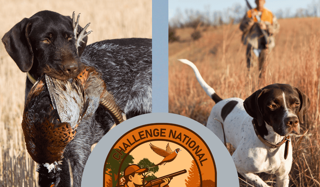 Challenge National Chasseurs de France