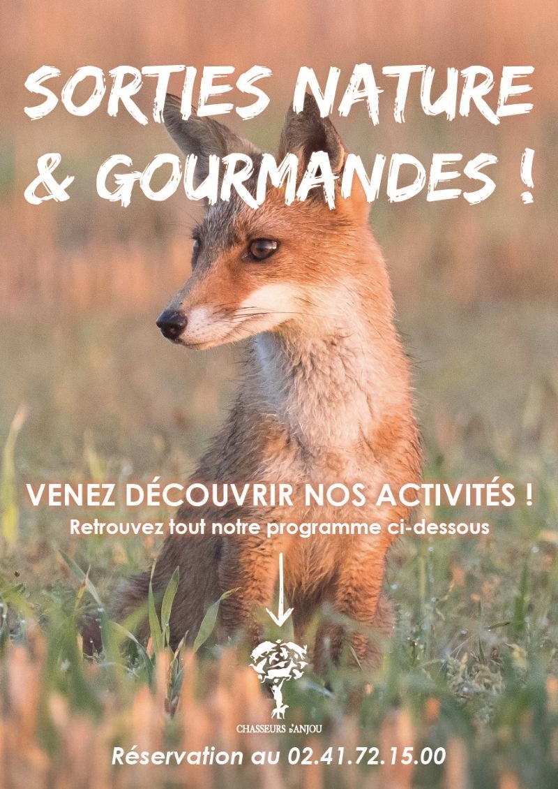 Sorties Nature 2026